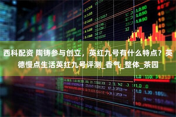 西科配资 陶铸参与创立，英红九号有什么特点？英德慢点生活英红九号评测_香气_整体_茶园