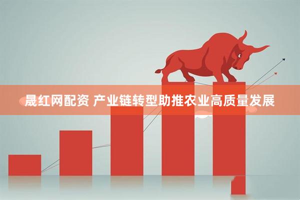 晟红网配资 产业链转型助推农业高质量发展